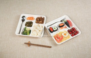 HỘP CƠM BÃ MÍA HỘP CƠM BÃ MÍA