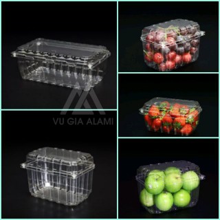 HỘP NHỰA PET HOA QUẢ - P100B-2015C-P500C HỘP NHỰA PET HOA QUẢ - P100B-2015C-P500C