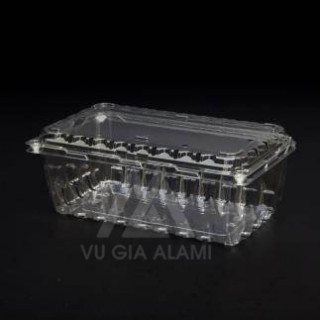 HỘP NHỰA PET  P1000A HỘP NHỰA PET  P1000A